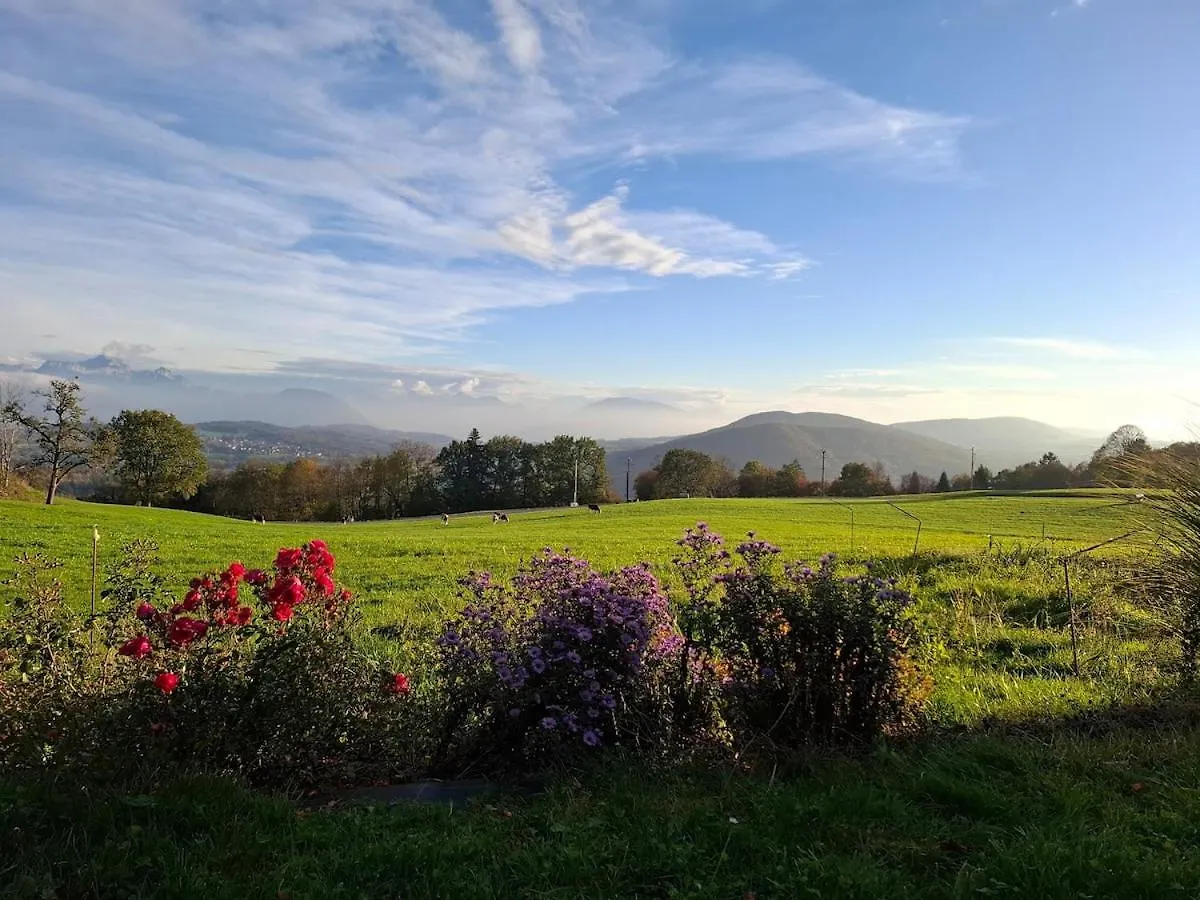 Logis Du Chateau De Beccon- Entre Annecy Et Geneve Cruseilles France